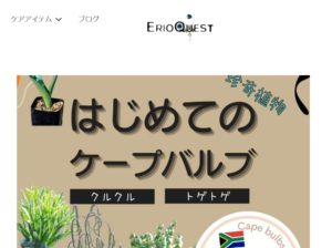 エリオクエストとは 南アフリカ原産植物の購入ならここがおすすめ 植物のタナログ